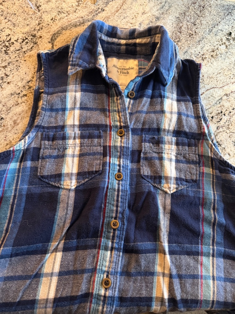 Abercrombie & Fitch Blue Plaid Sleeveless Button-Up Shirt